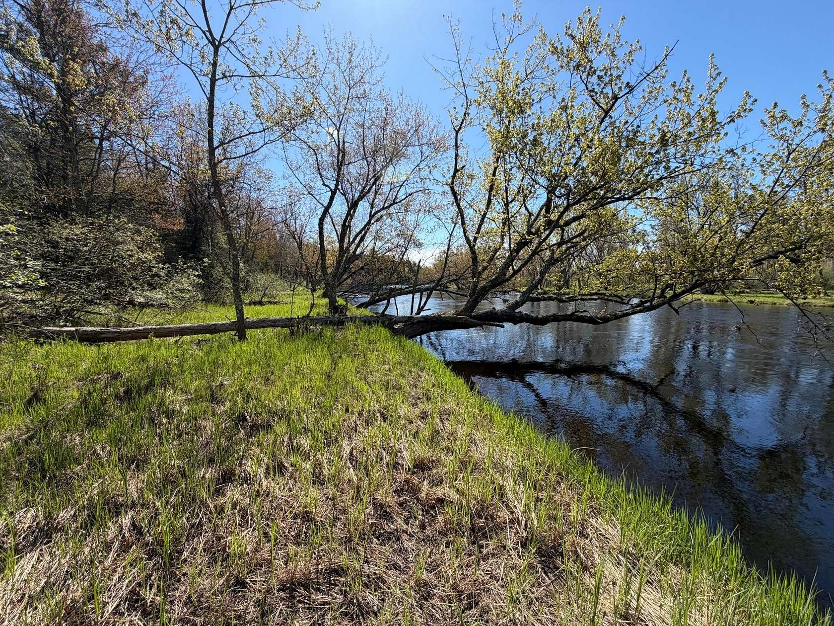 5 Acres of Land for Sale in Rhinelander, Wisconsin