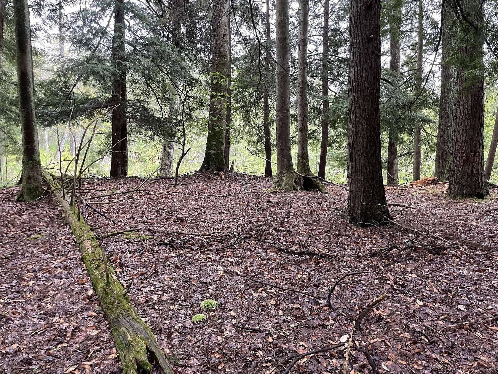 8.5 Acres of Land for Sale in Irons, Michigan