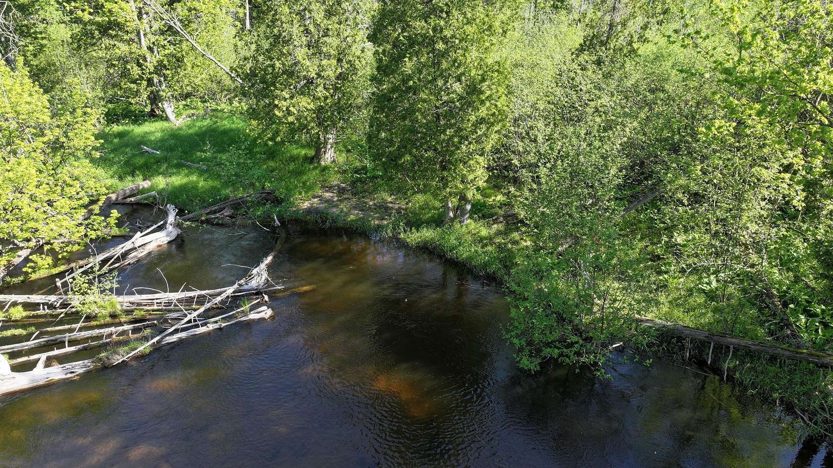 8.5 Acres of Land for Sale in Irons, Michigan