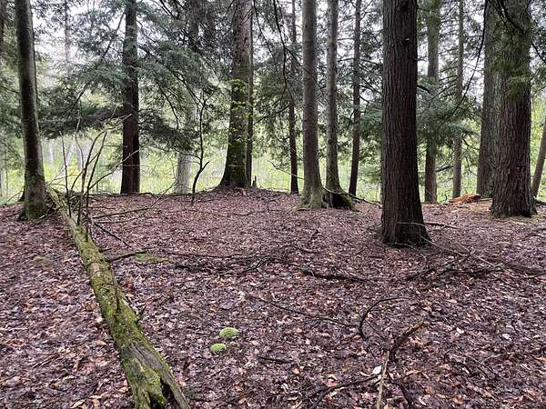 8.5 Acres of Land for Sale in Irons, Michigan