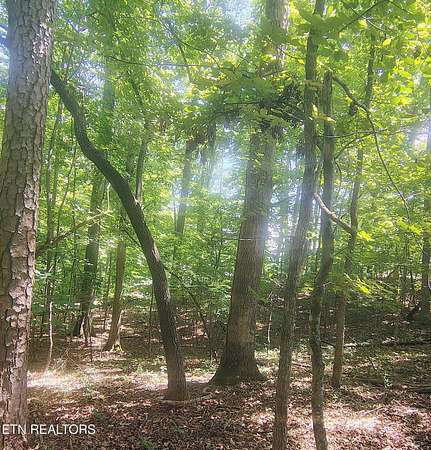 4.5 Acres of Residential Land for Sale in Andersonville, Tennessee
