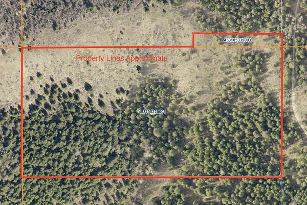 20.7 Acres of Recreational Land for Sale in Newport, Washington