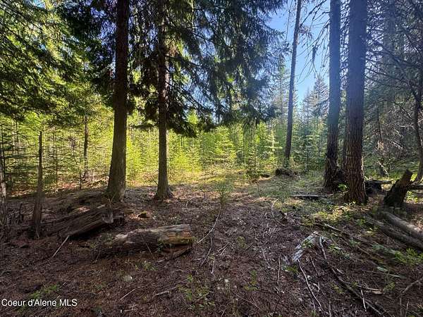 6.25 Acres of Residential Land for Sale in Priest River, Idaho