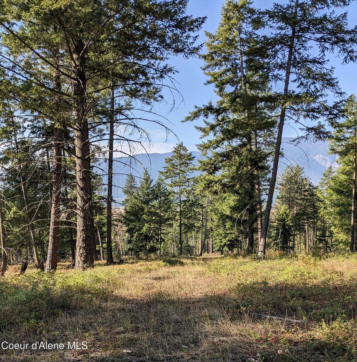 10 Acres of Residential Land for Sale in Bonners Ferry, Idaho
