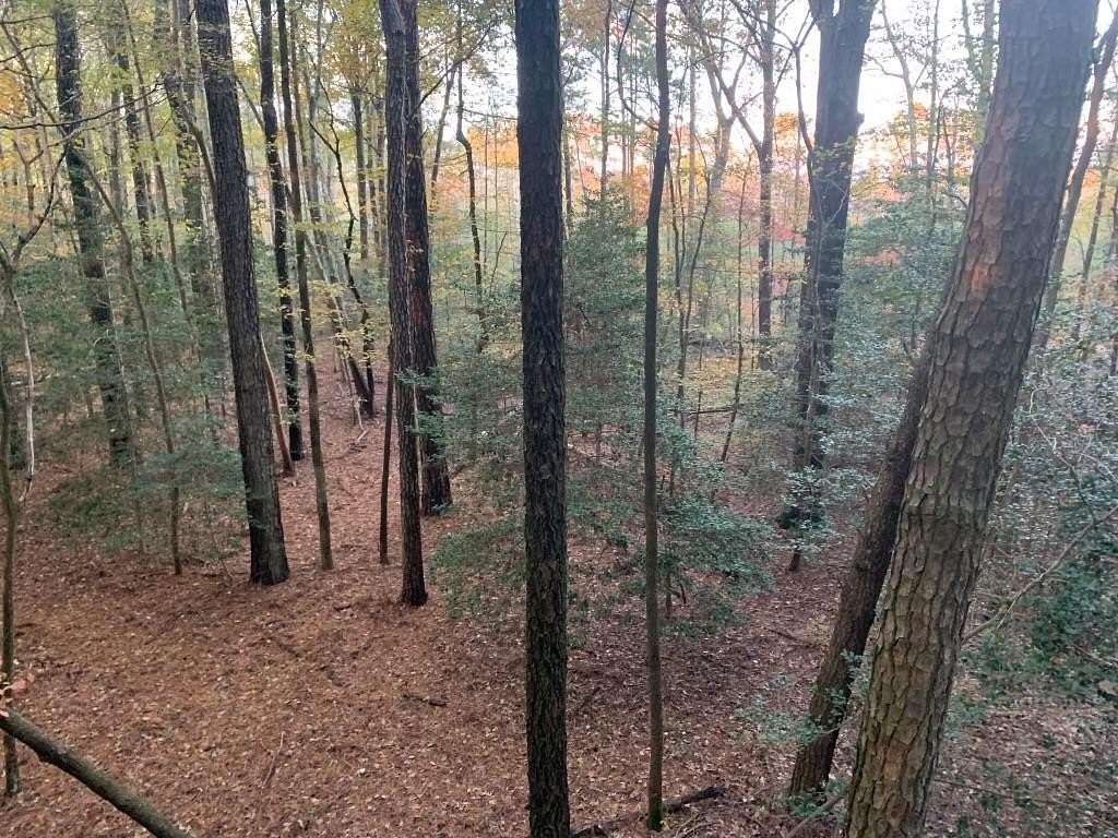 11.8 Acres of Recreational Land for Sale in Onancock, Virginia