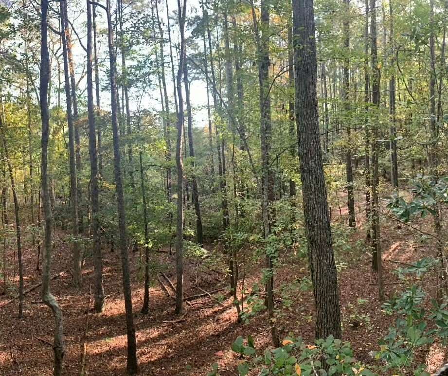 11.8 Acres of Recreational Land for Sale in Onancock, Virginia