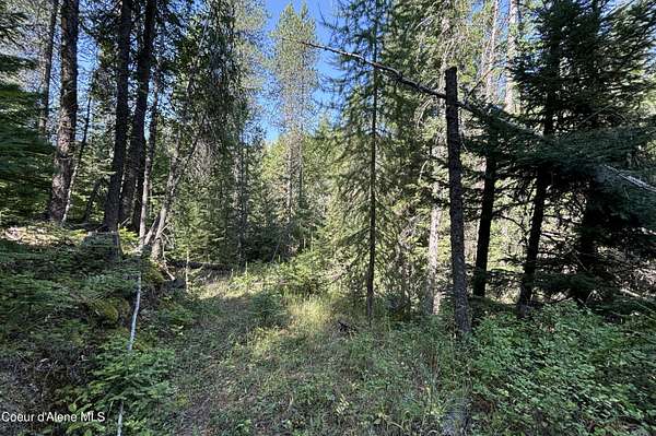 5.8 Acres of Land for Sale in Sandpoint, Idaho
