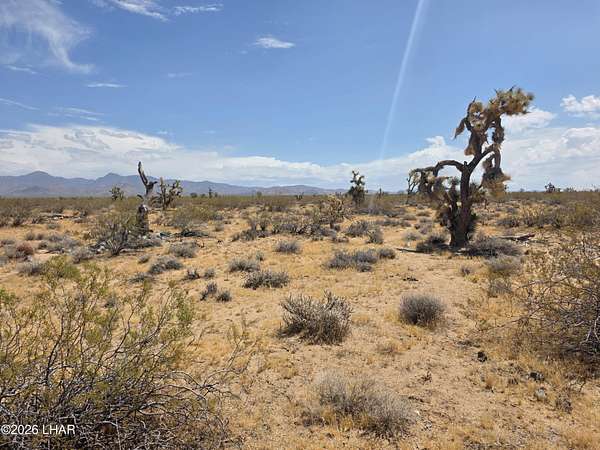 40 Acres of Land for Sale in Yucca, Arizona