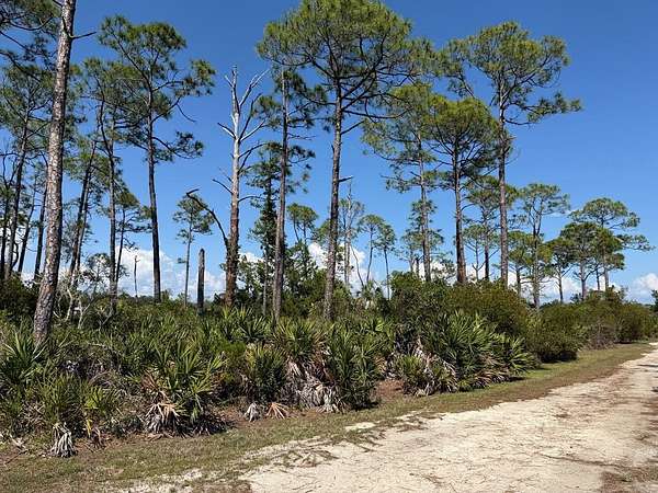 0.36 Acres of Residential Land for Sale in Cedar Key, Florida
