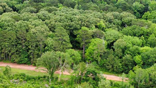 7.12 Acres of Residential Land for Sale in Harleton, Texas