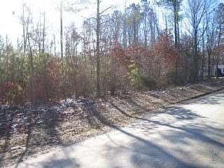 25 Acres of Recreational Land for Sale in Kenbridge, Virginia