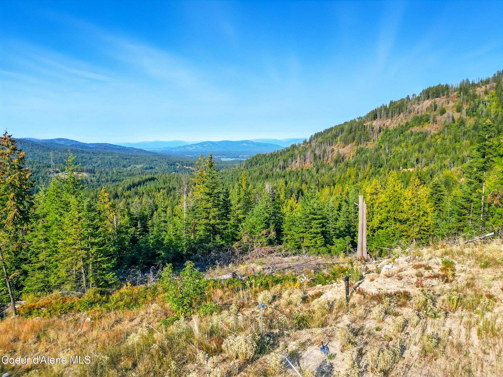 20 Acres of Land for Sale in Cocolalla, Idaho