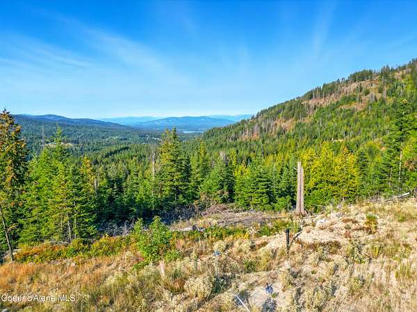 20 Acres of Land for Sale in Cocolalla, Idaho