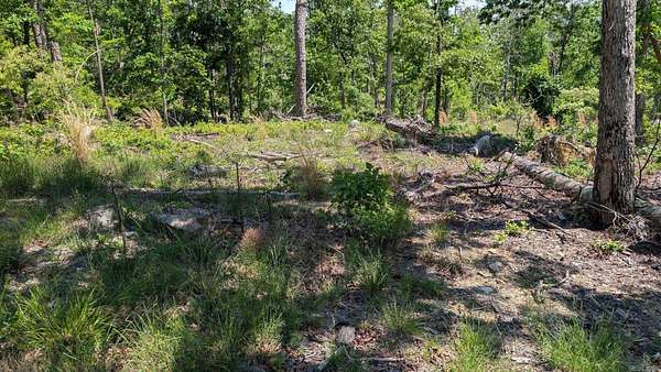 0.24 Acres of Residential Land for Sale in Hot Springs Village, Arkansas