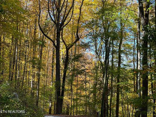 4 Acres of Residential Land for Sale in Cosby, Tennessee