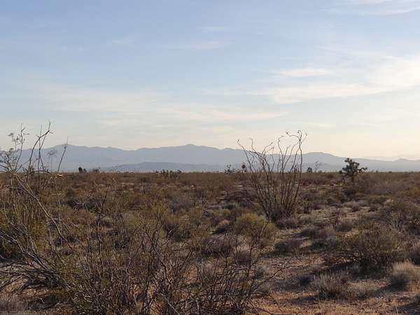 1.16 Acres of Residential Land for Sale in Yucca, Arizona