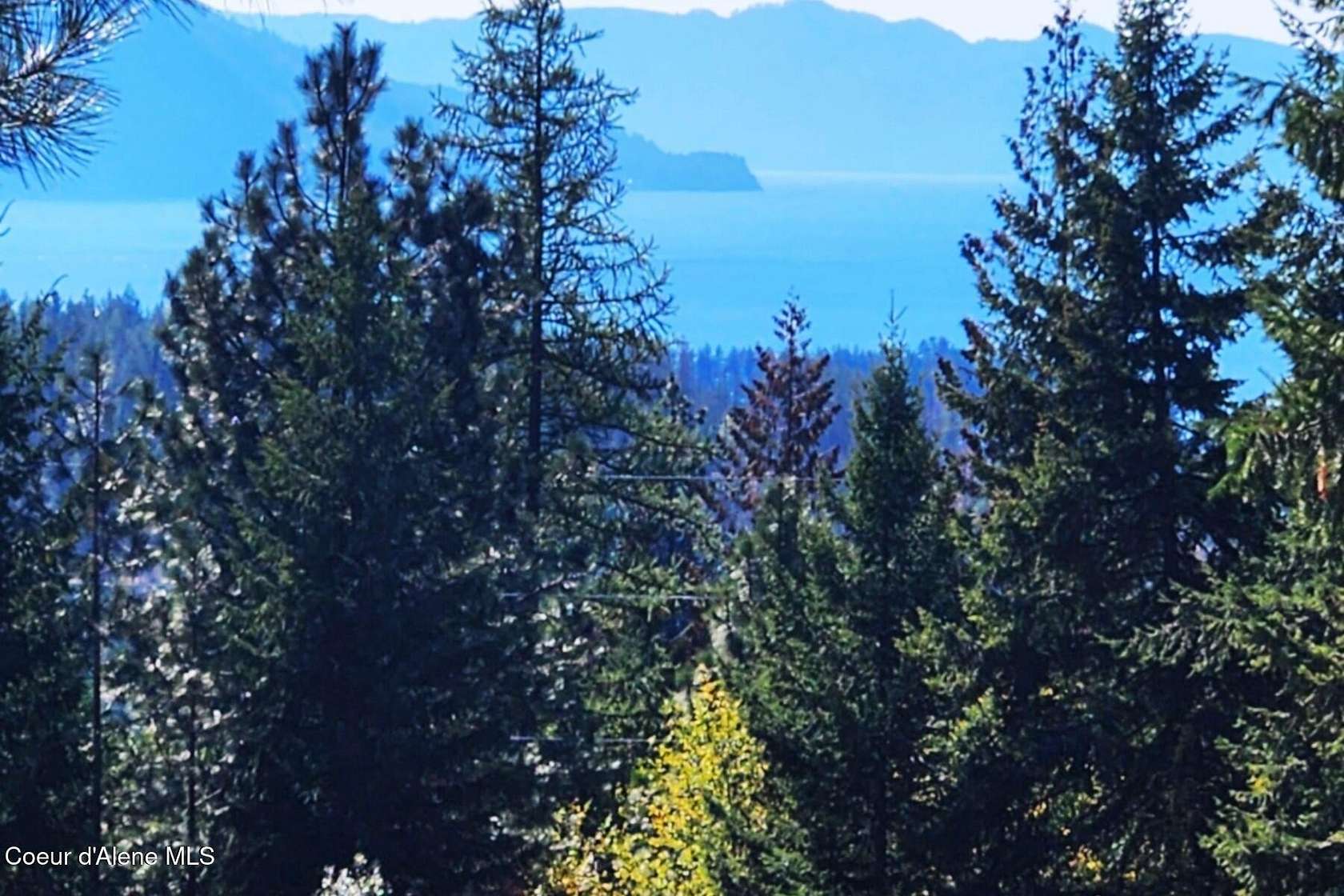 5 Acres of Land for Sale in Hope, Idaho