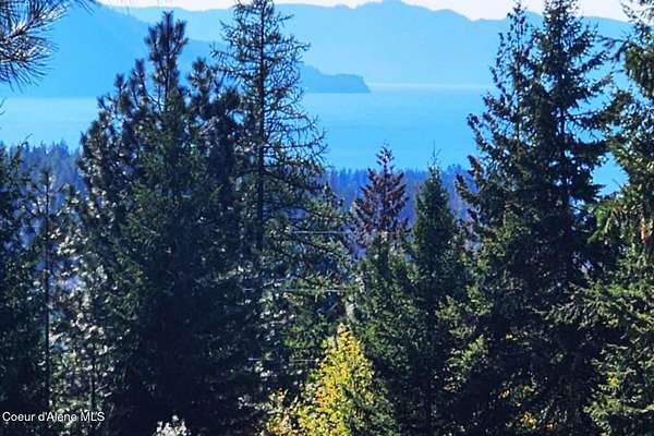5 Acres of Land for Sale in Hope, Idaho