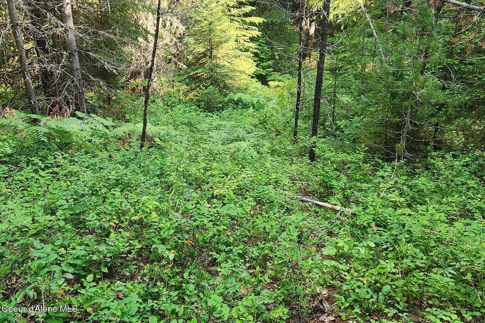 12.4 Acres of Land for Sale in Nordman, Idaho