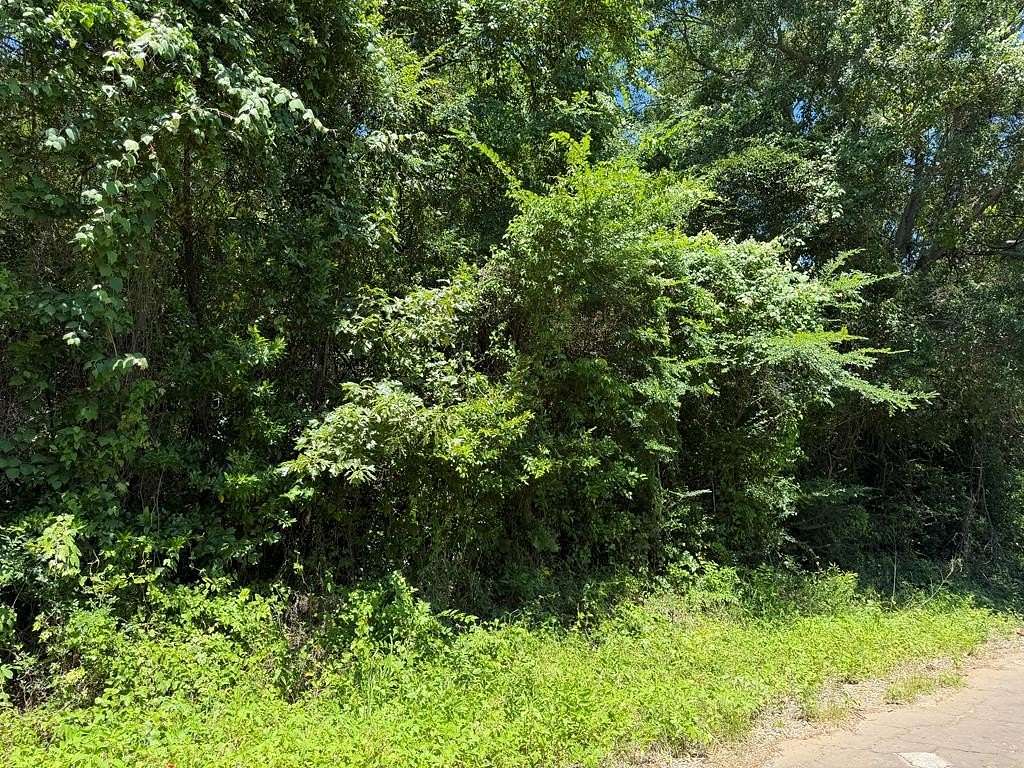 1 Acre of Residential Land for Sale in Palestine, Texas