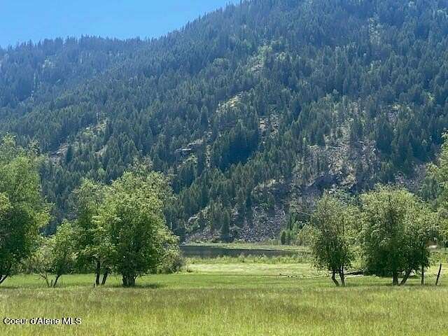 20 Acres of Land for Sale in Priest River, Idaho