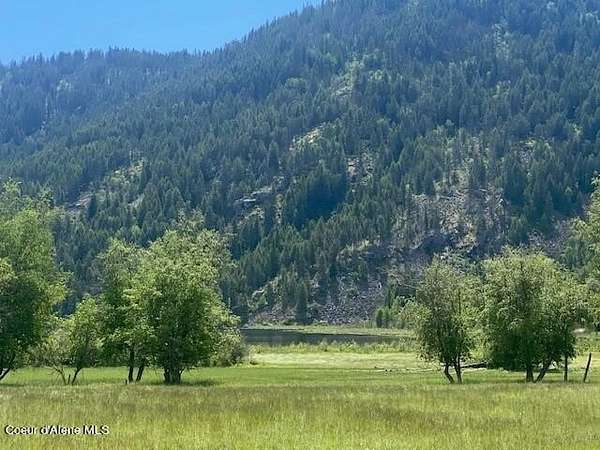 20 Acres of Land for Sale in Priest River, Idaho