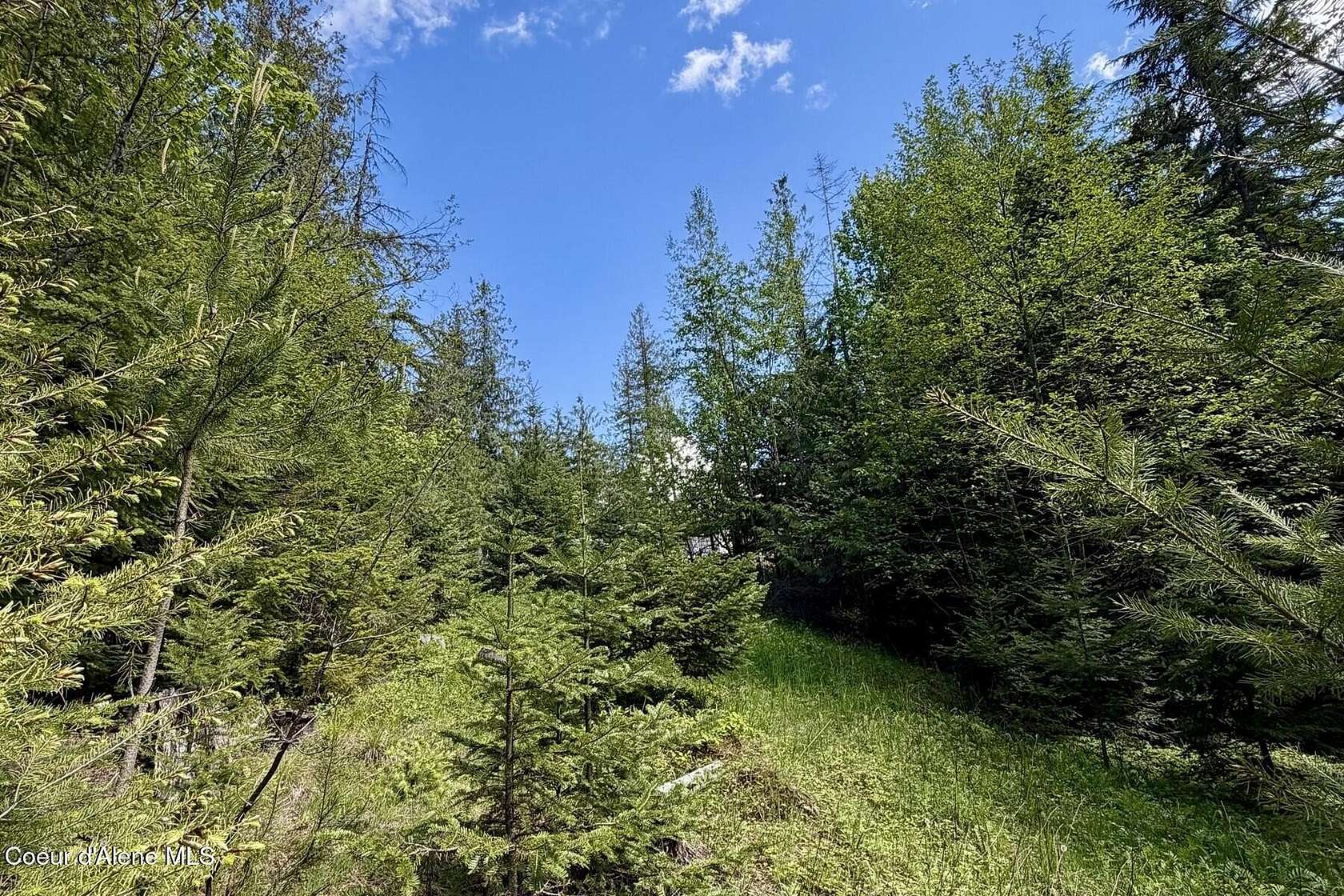 0.34 Acres of Residential Land for Sale in Sagle, Idaho