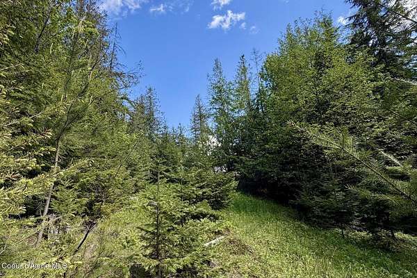 0.34 Acres of Residential Land for Sale in Sagle, Idaho