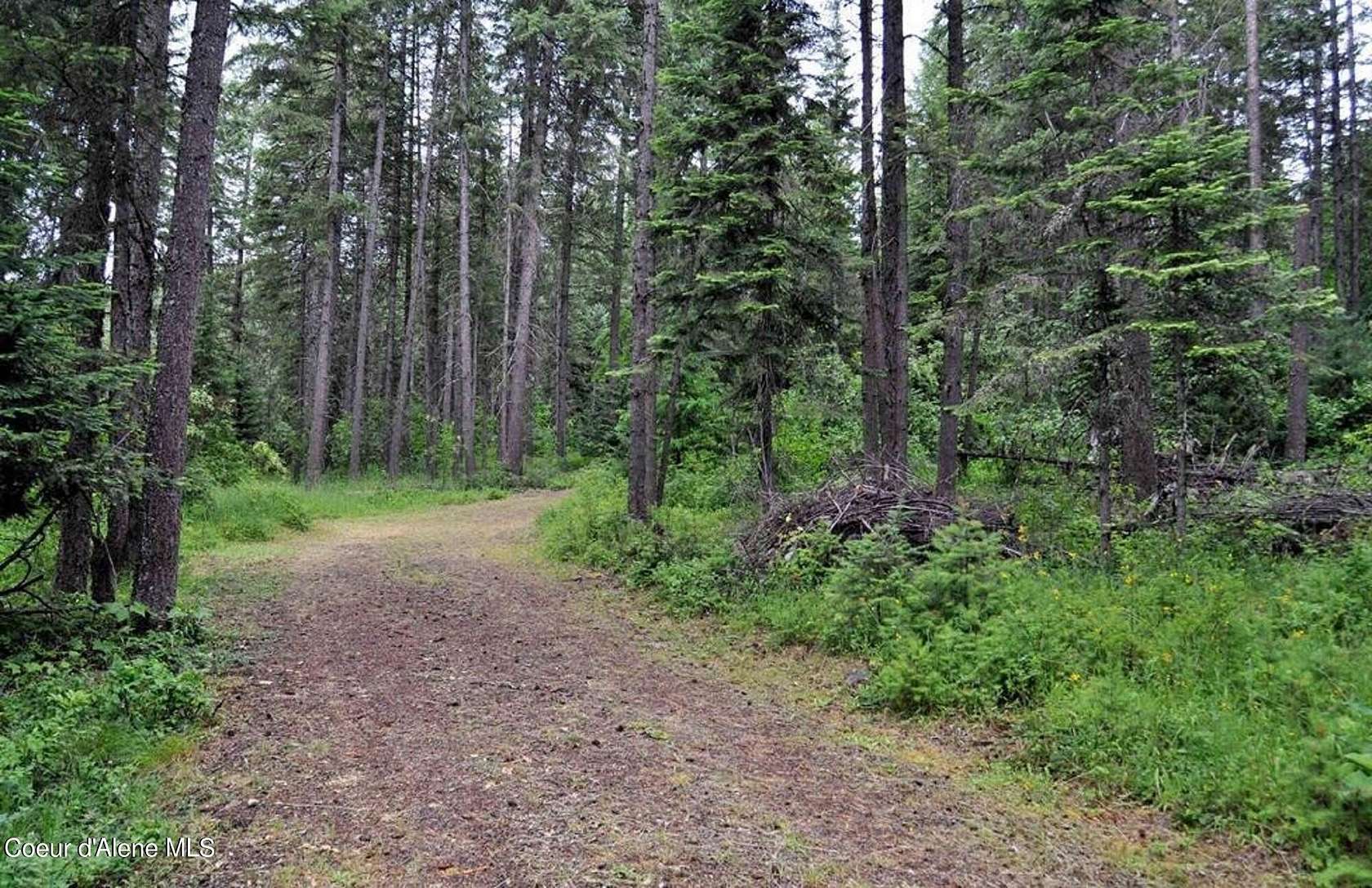 3 Acres of Residential Land for Sale in Clark Fork, Idaho