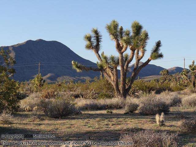 1 Acre of Residential Land for Sale in Meadview, Arizona