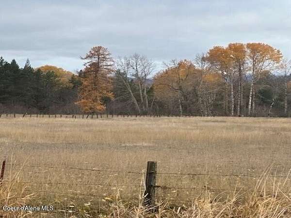 56 Acres of Land for Sale in Priest River, Idaho