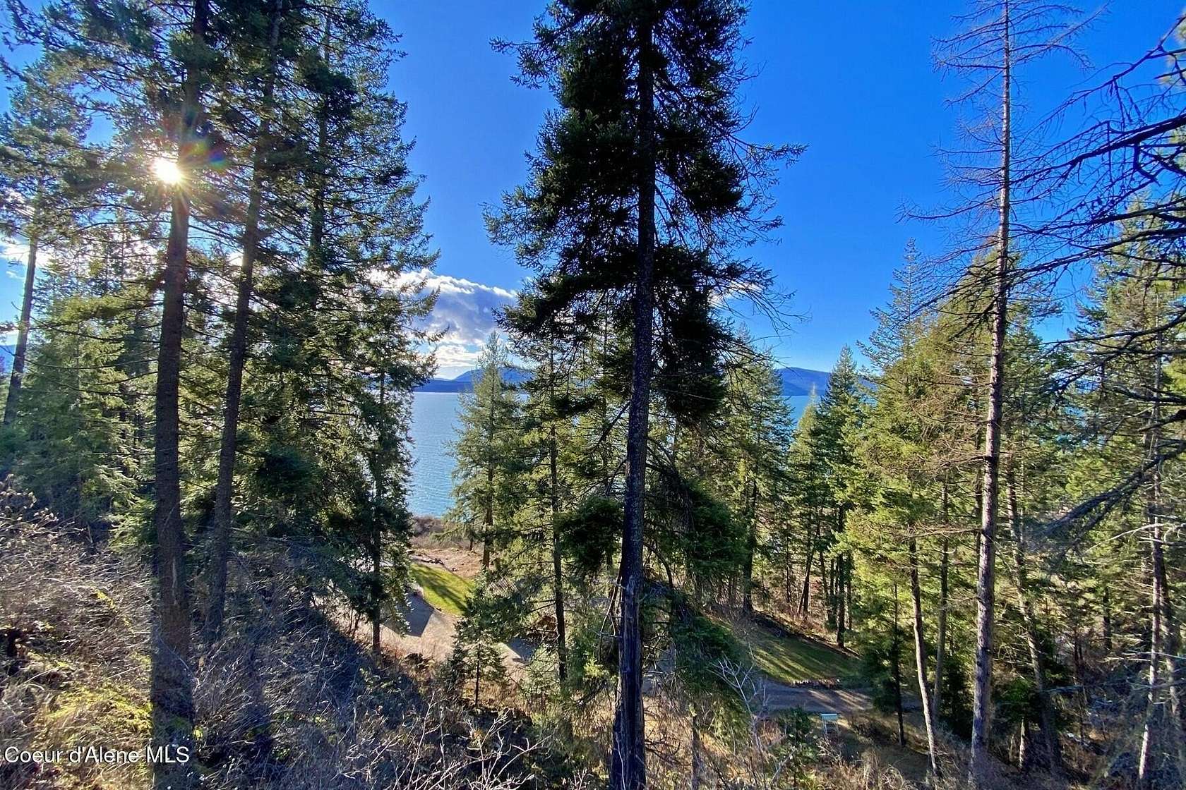 1 Acre of Residential Land for Sale in Hope, Idaho