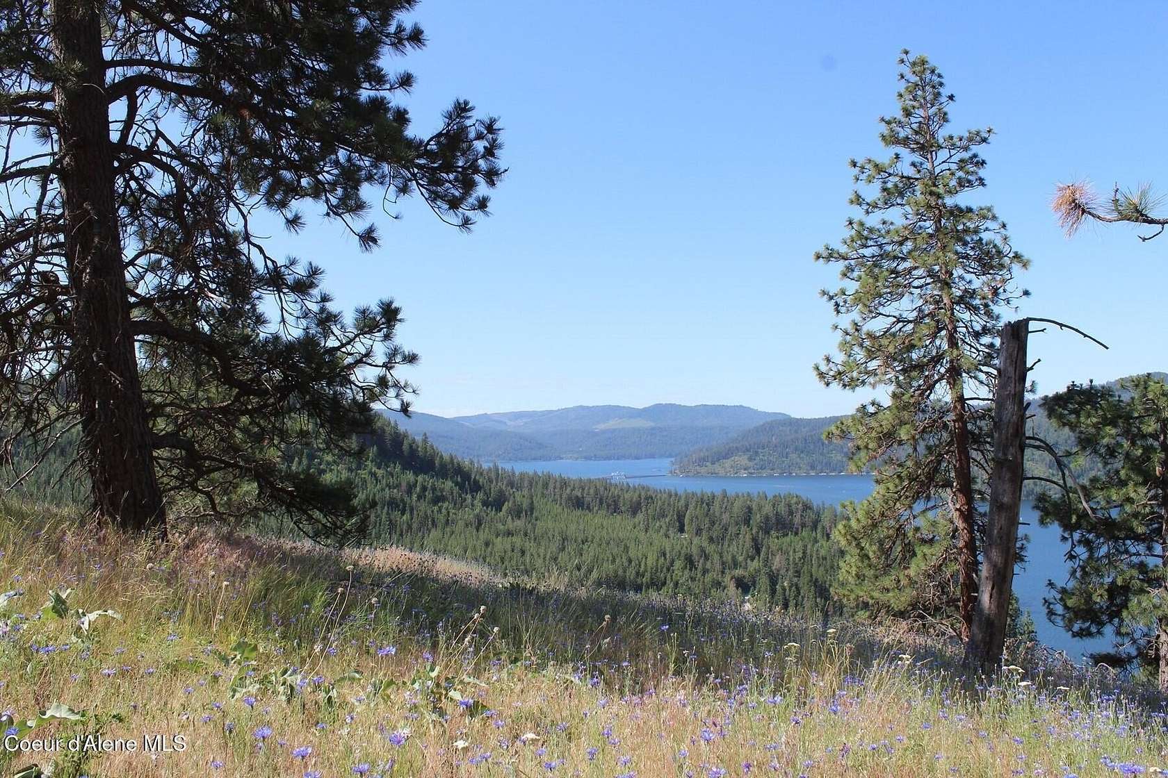 10 Acres of Recreational Land for Sale in Harrison, Idaho