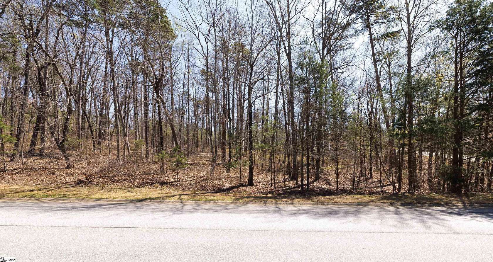 0.92 Acres of Land for Sale in Greenville, South Carolina