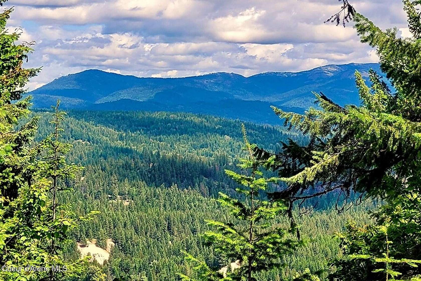 11.5 Acres of Recreational & Residential Land for Sale in Sandpoint, Idaho