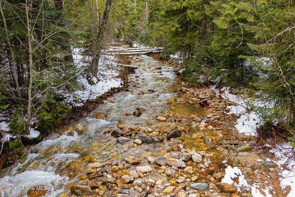 29.5 Acres of Land for Sale in Sandpoint, Idaho