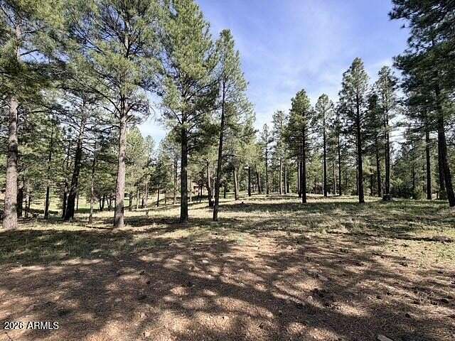 0.65 Acres of Residential Land for Sale in Flagstaff, Arizona