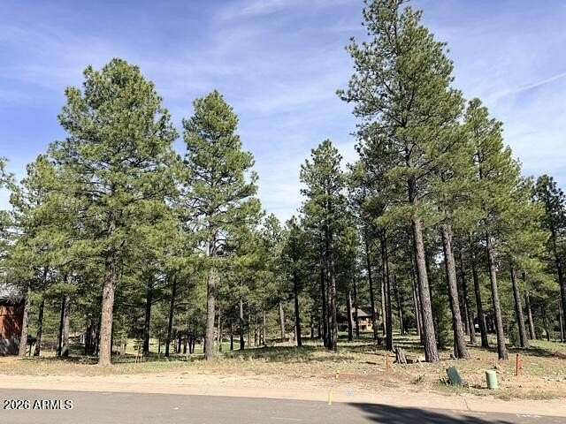 0.65 Acres of Residential Land for Sale in Flagstaff, Arizona