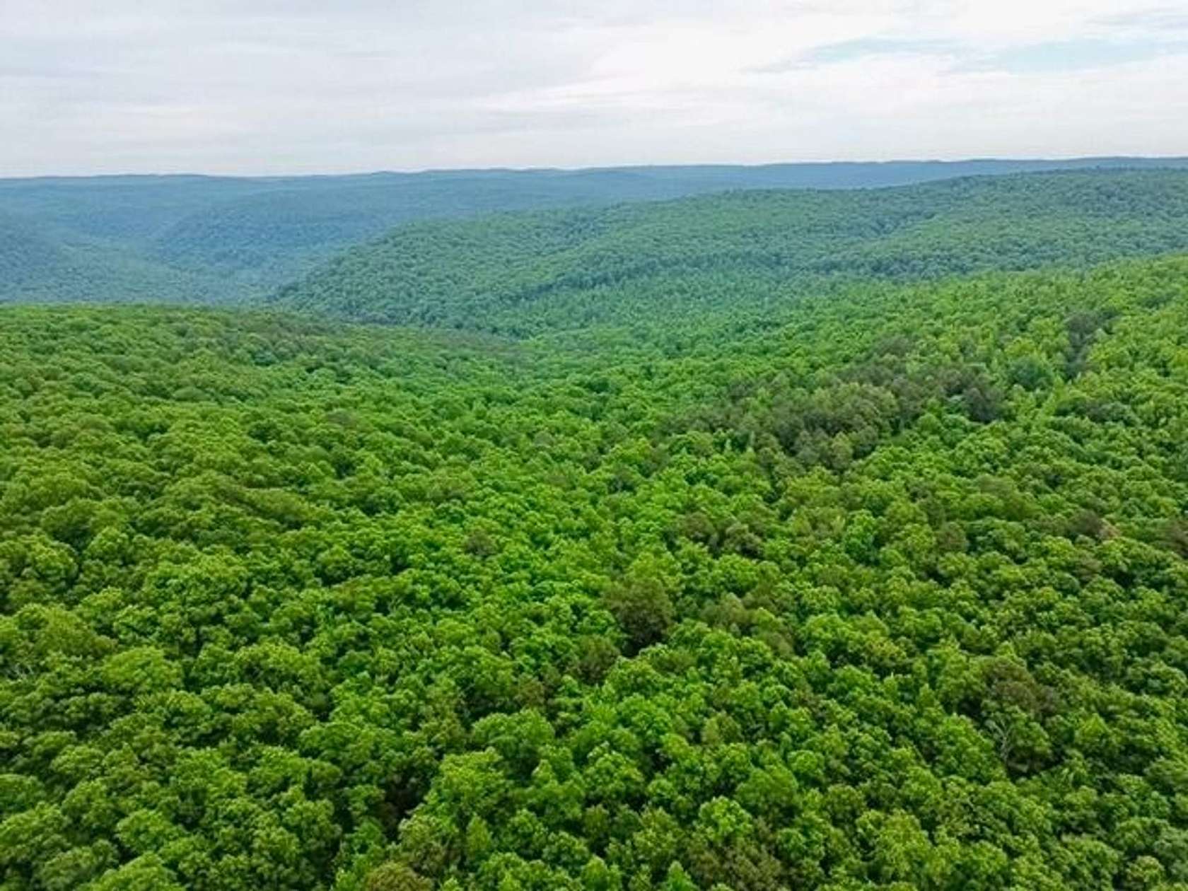 60 Acres of Recreational Land for Sale in Parthenon, Arkansas