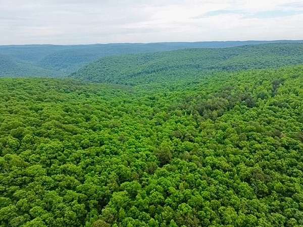 60 Acres of Recreational Land for Sale in Parthenon, Arkansas