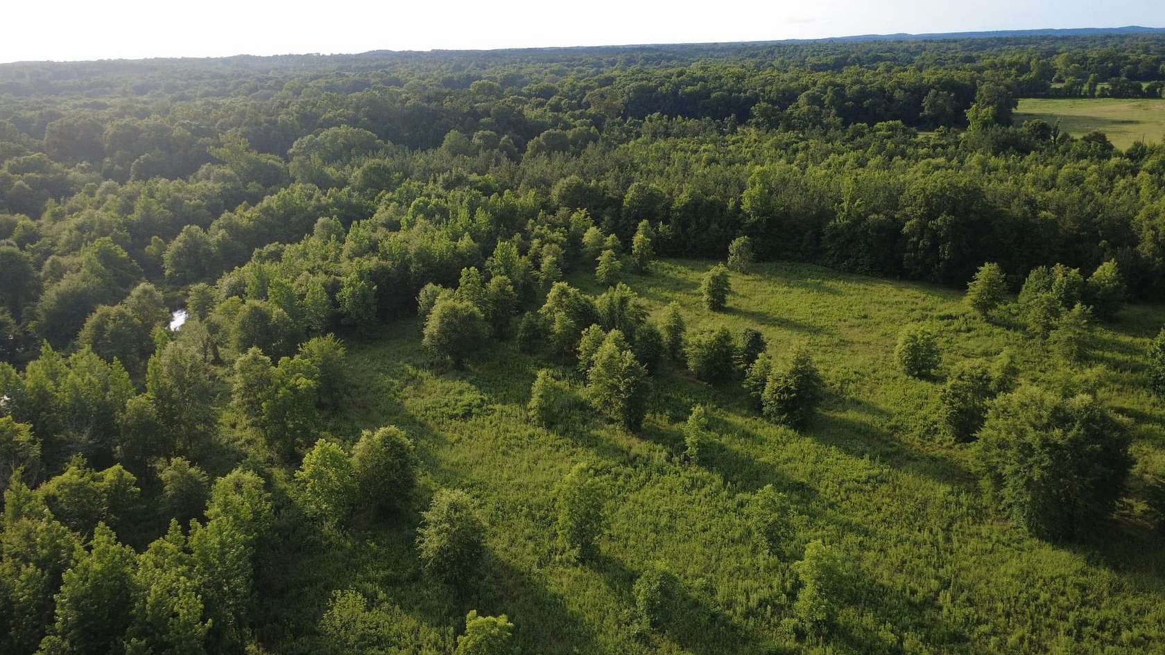 20 Acres of Land for Sale in Broken Bow, Oklahoma