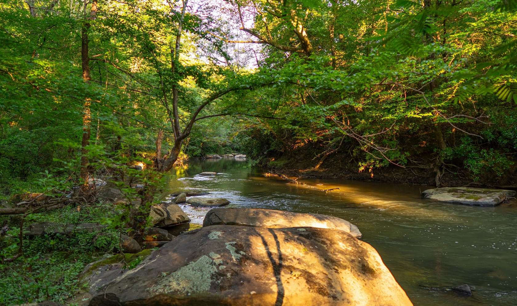 311 Acres of Recreational Land for Sale in Brookwood, Alabama
