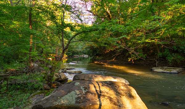 311 Acres of Recreational Land for Sale in Brookwood, Alabama