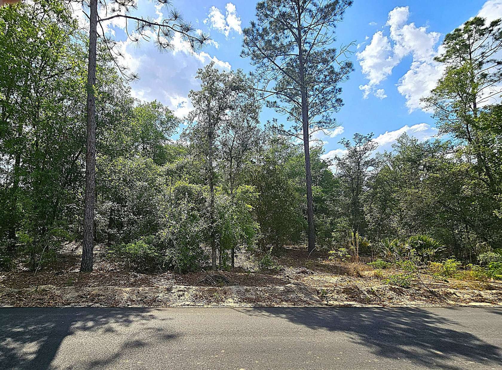 2.19 Acres of Land for Sale in Blackshear, Georgia