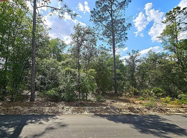 2.19 Acres of Land for Sale in Blackshear, Georgia