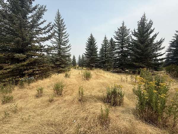 10.2 Acres of Land for Sale in Mica, Washington