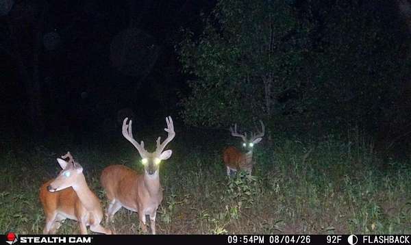 25 Acres of Recreational Land for Sale in Seminole, Oklahoma