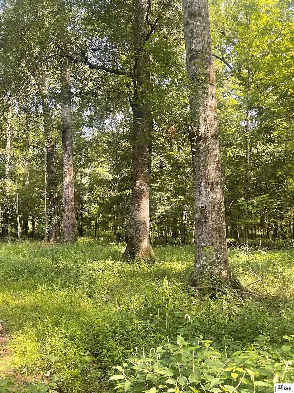 127 Acres of Recreational Land for Sale in Choudrant, Louisiana
