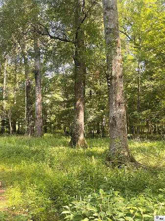 127 Acres of Recreational Land for Sale in Choudrant, Louisiana