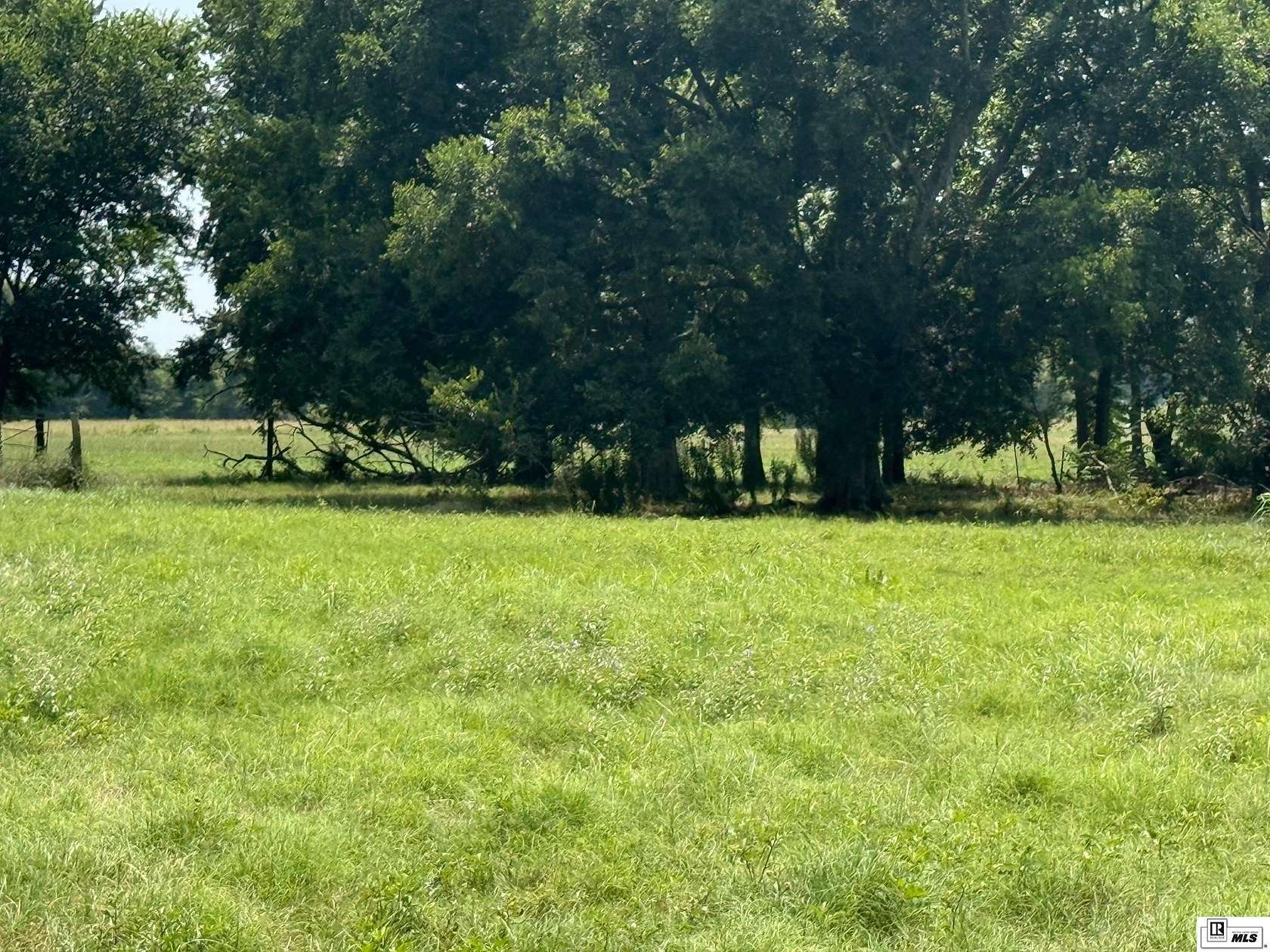 22.2 Acres of Agricultural Land for Sale in Rayville, Louisiana